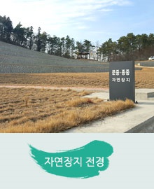 광양시공설자연장 자연장 시설 사진 2