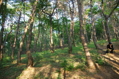 백양사수목장 자연장 시설 사진 3