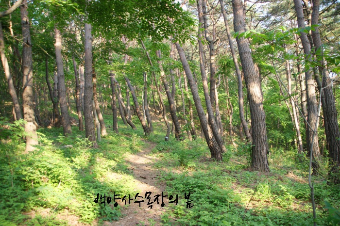 백양사수목장 자연장 시설 사진 2