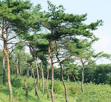 에버그린수목장 자연장 시설 사진 2