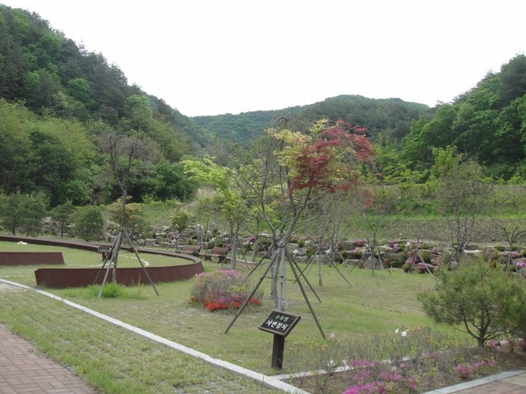 양구군공설자연장지 자연장 시설 사진 2