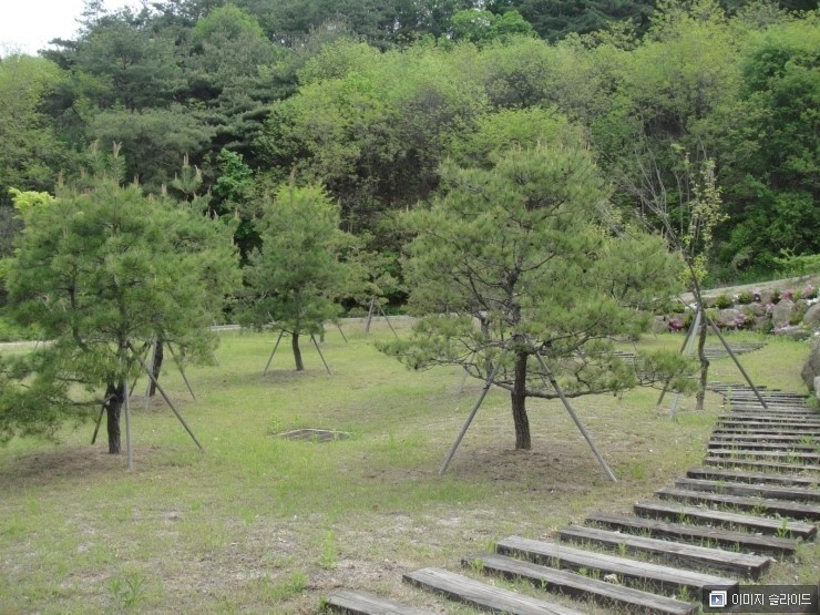 양구군공설자연장지 자연장 시설 사진 3