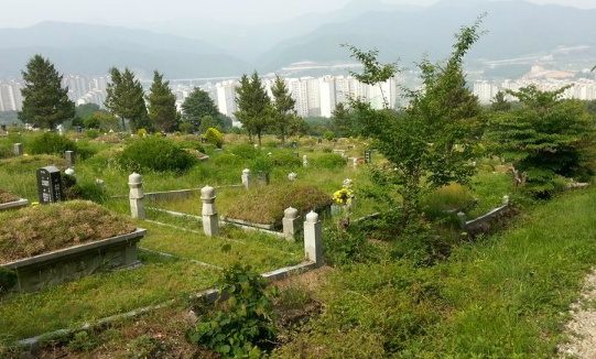 대정공원묘원 묘지 시설 사진 3