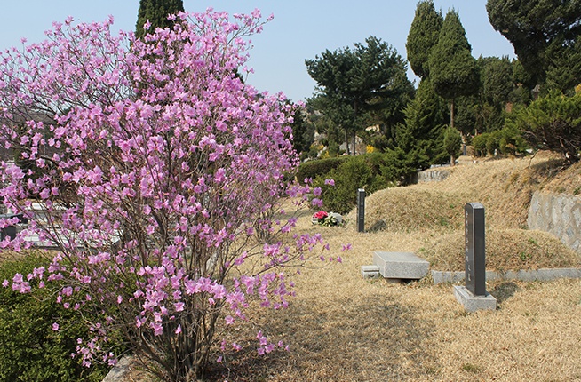 운경공원묘원 묘지 시설 사진 2