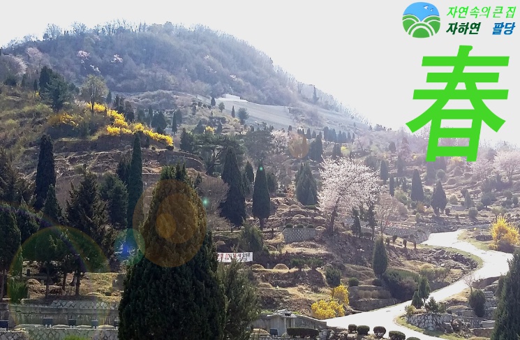 자하연 팔당(묘지) 묘지 시설 사진 2