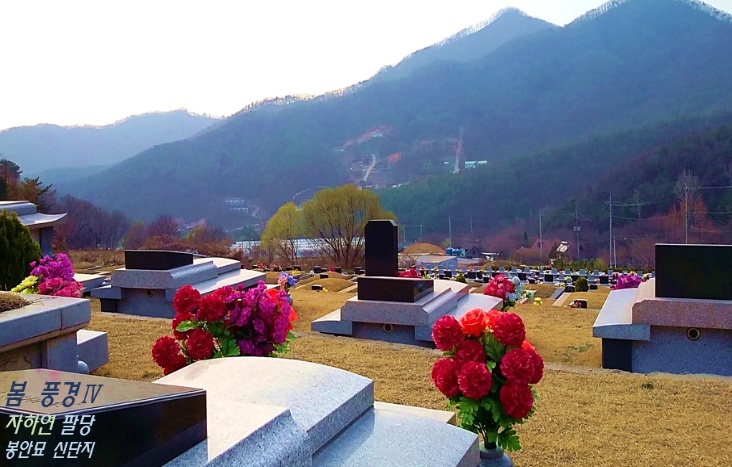 자하연 팔당(묘지) 묘지 시설 사진 3