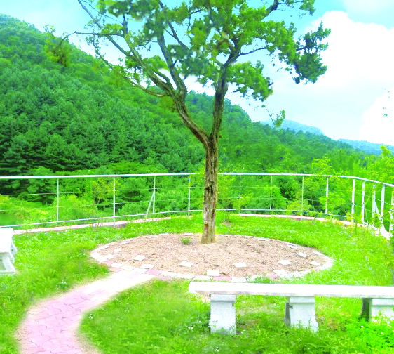 용인추모원 자연장지 자연장 시설 사진 3