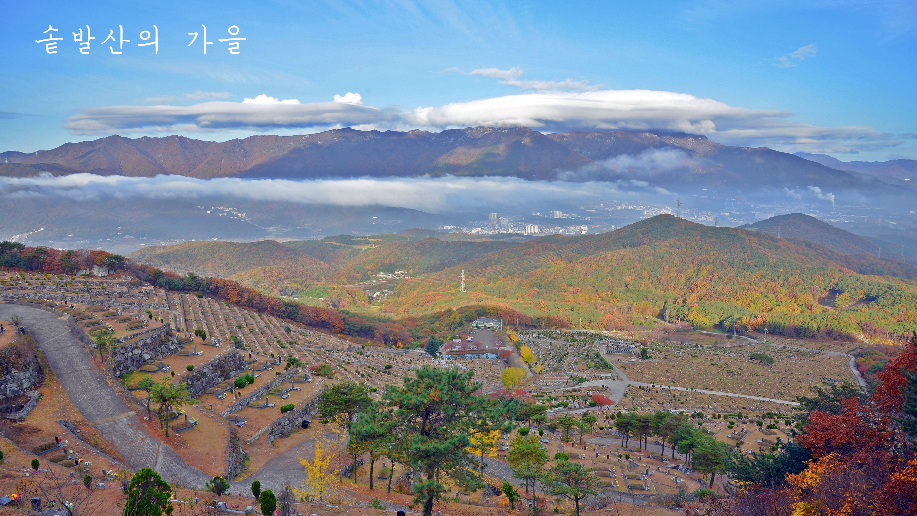 솥발산공원묘원 묘지 시설 사진 2