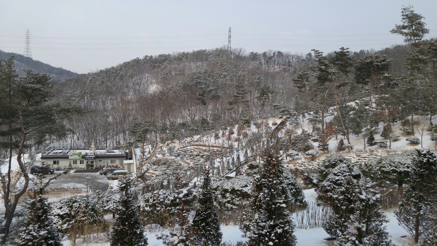 하늘소풍수목장(호산나교회) 자연장 시설 사진 2