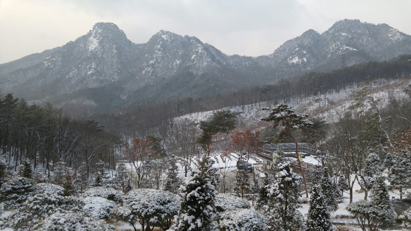 하늘소풍수목장(호산나교회) 자연장 시설 사진 3