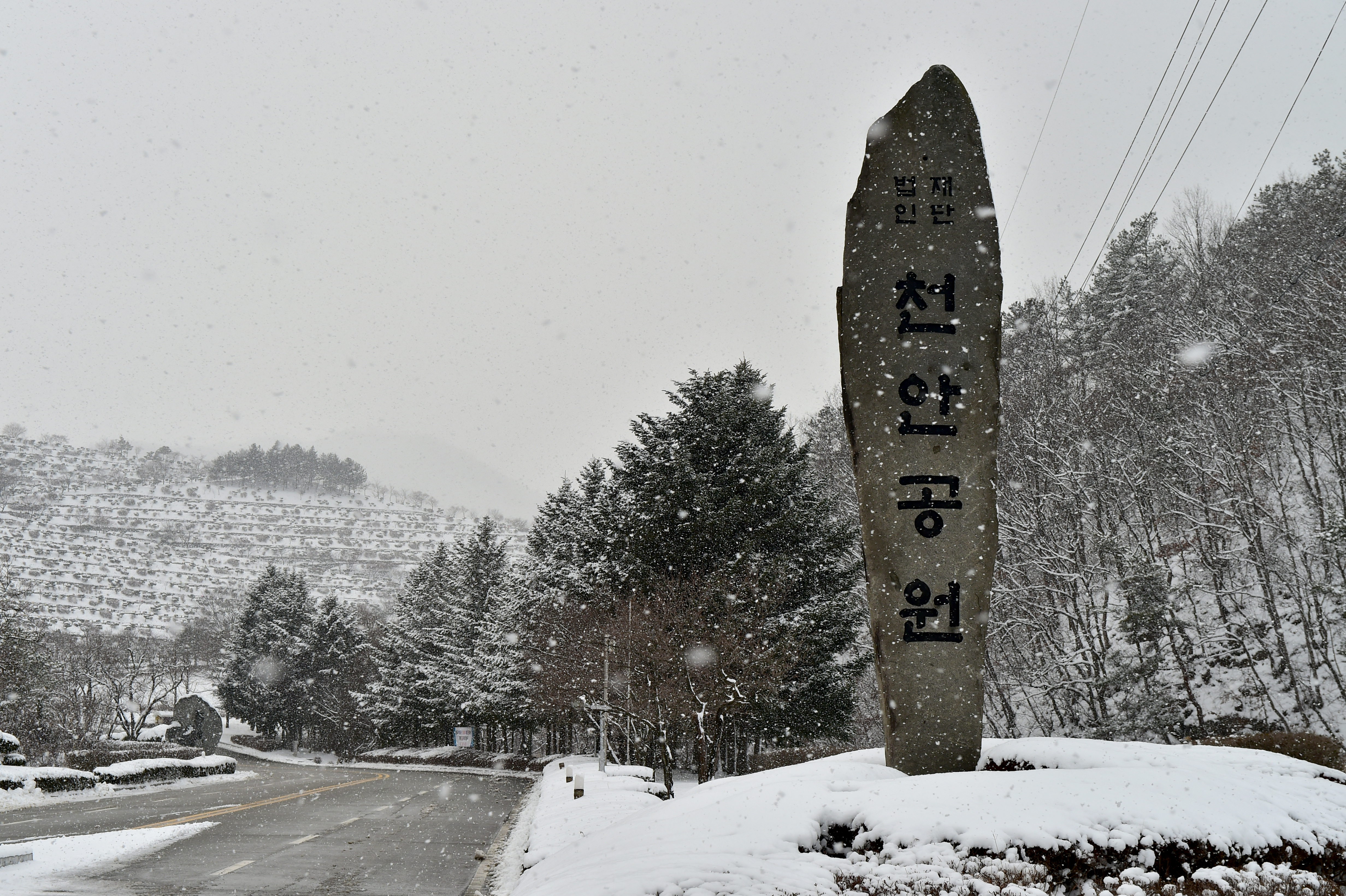 천안공원묘원(봉안시설) 납골당 시설 사진 3