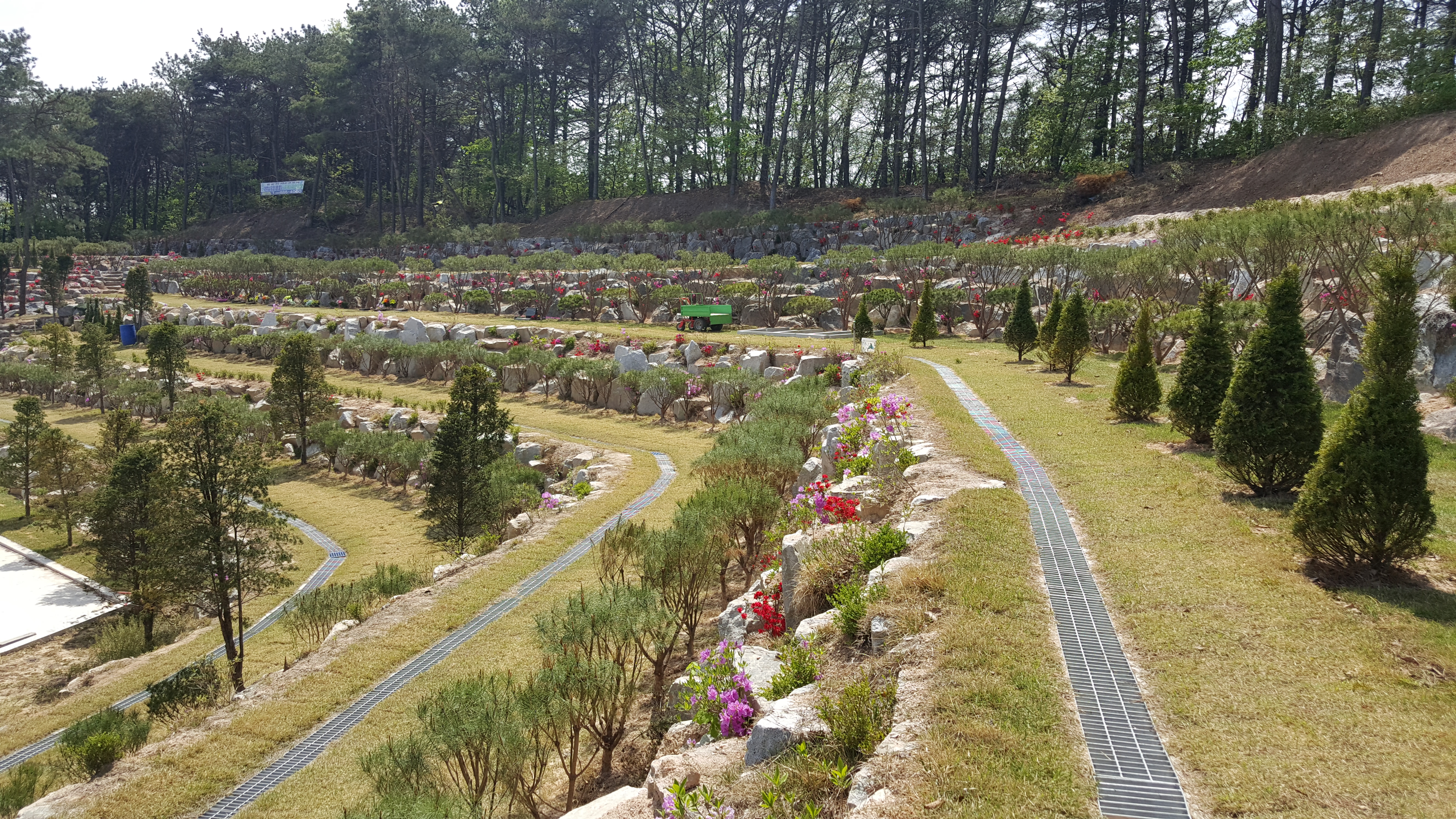 세종추모공원 수목(자연)장 자연장 시설 사진 3