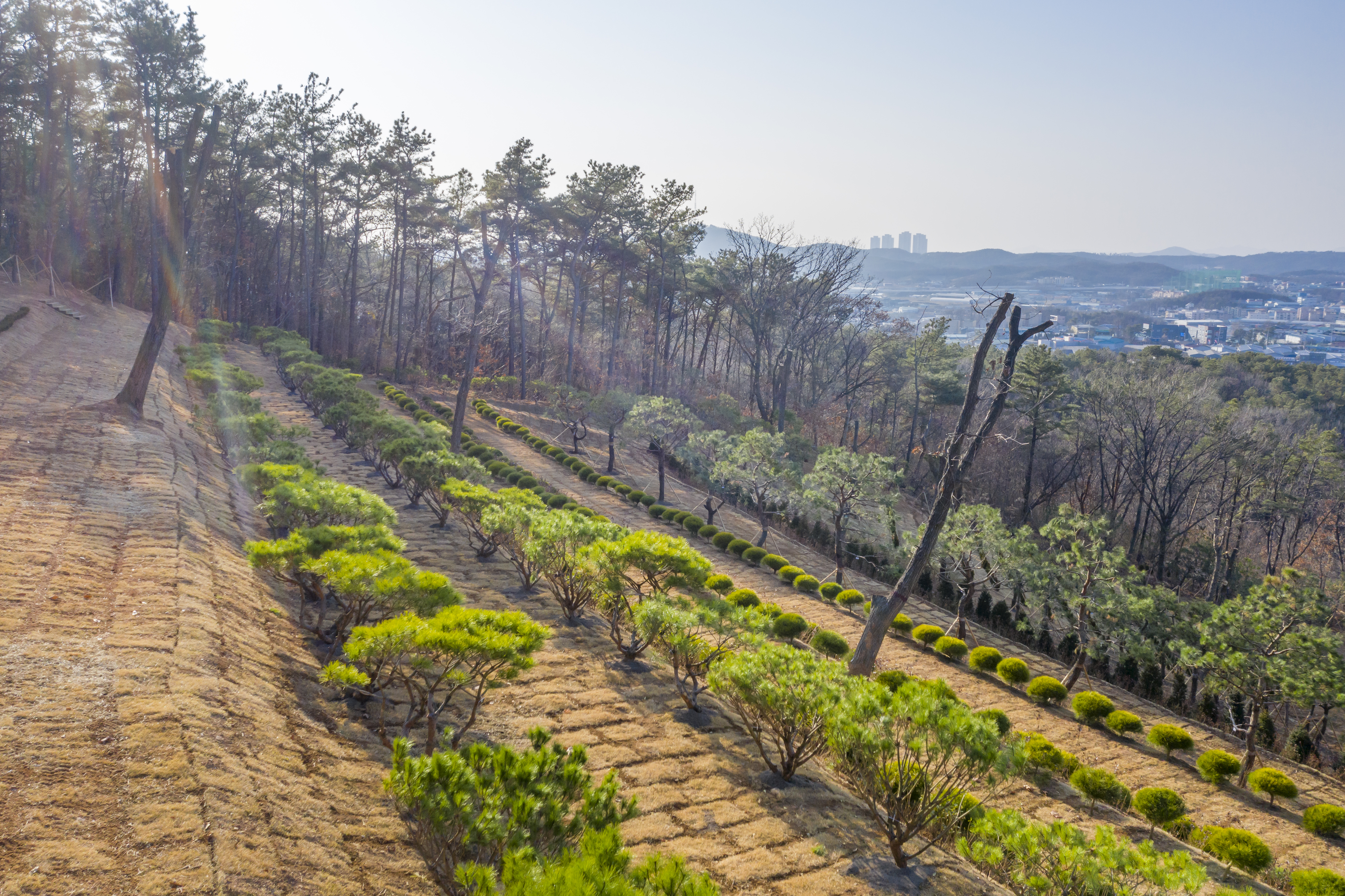 일산공감수목장(봉화사) 자연장 시설 사진 2