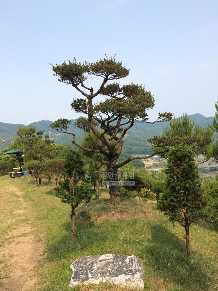 정안수목장 자연장 시설 사진 2