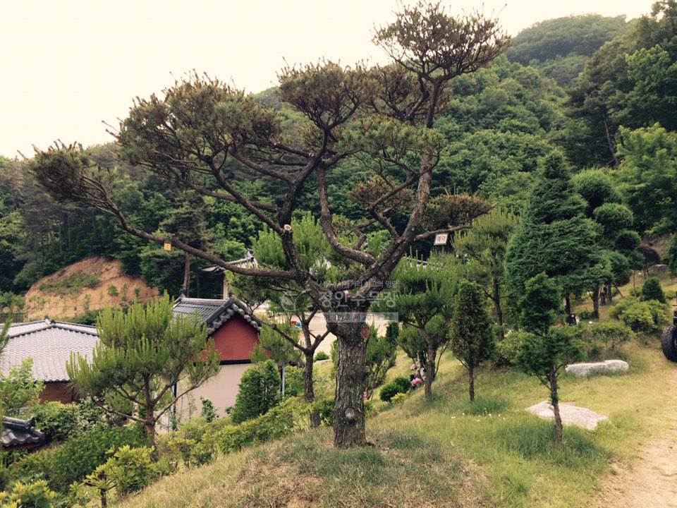정안수목장 자연장 시설 사진 3