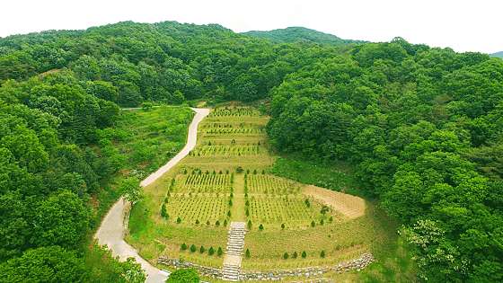세종수목장 전경