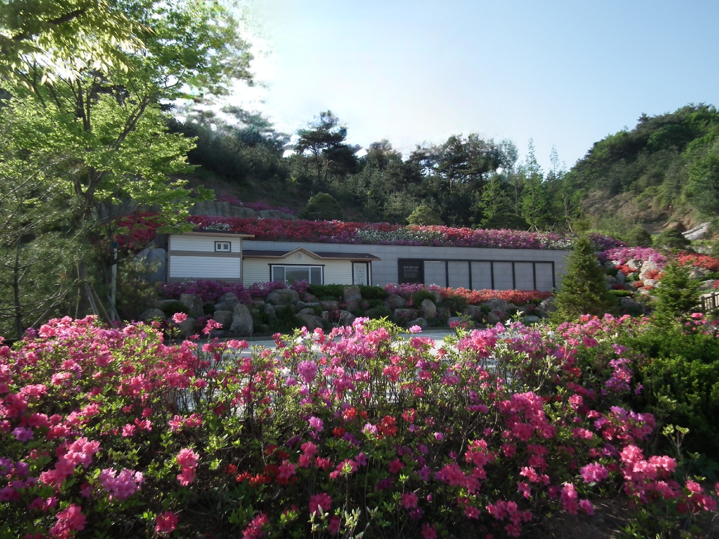 기독교대한성결교회 안성교회 자연장지 전경