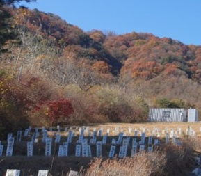 거창공설공원묘지 전경