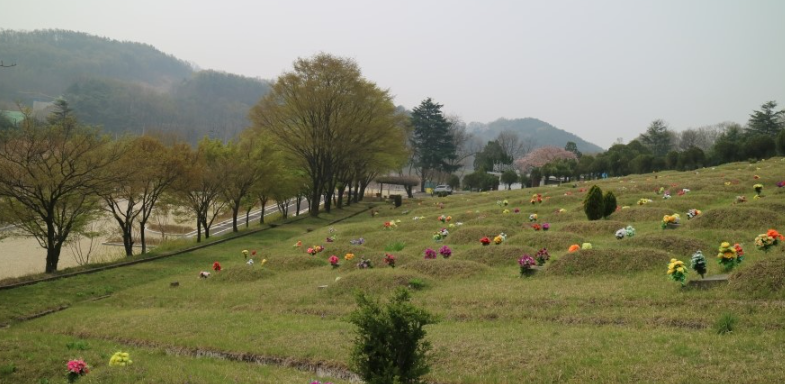 대구공원 전경