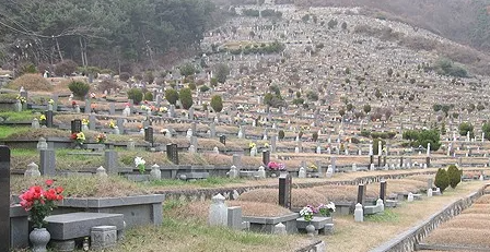교산1리공설묘지 전경
