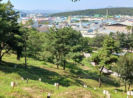 성산읍공설묘지 전경