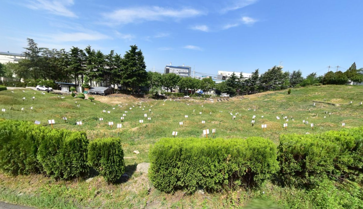 성서공동묘지 전경
