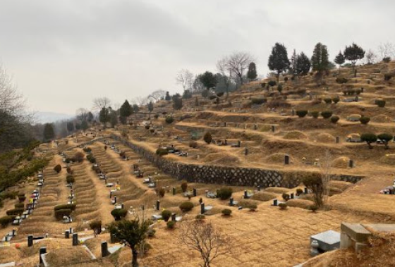 구미시옥계공설묘지(만장) 전경