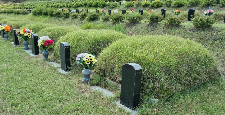 장정리공설묘지 전경