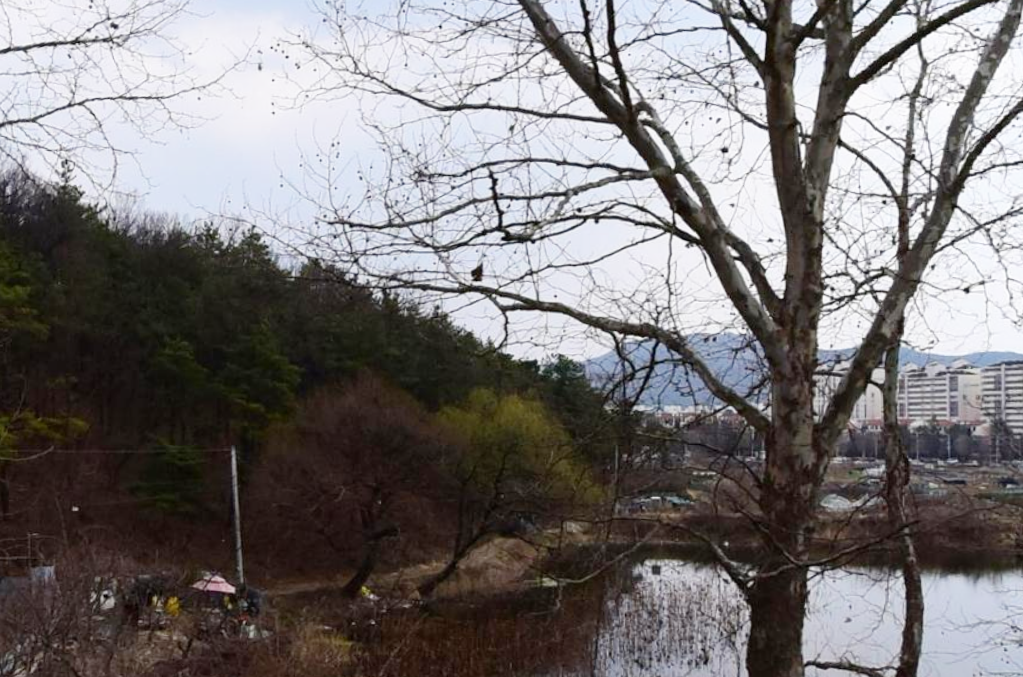 대구중부교회묘지 전경