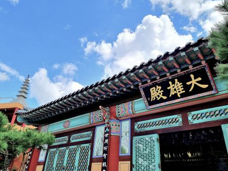 군내면 제1공설묘지 전경