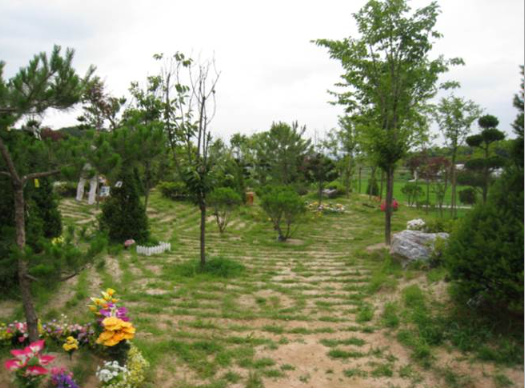 동화추모공원 (수목장) 전경