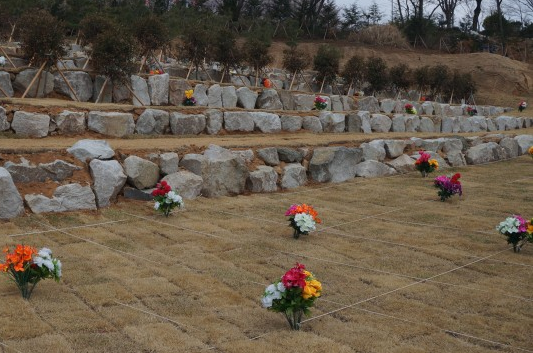진주제일교회 수목장 전경