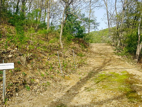 일월사추모공원(자연장지) 전경