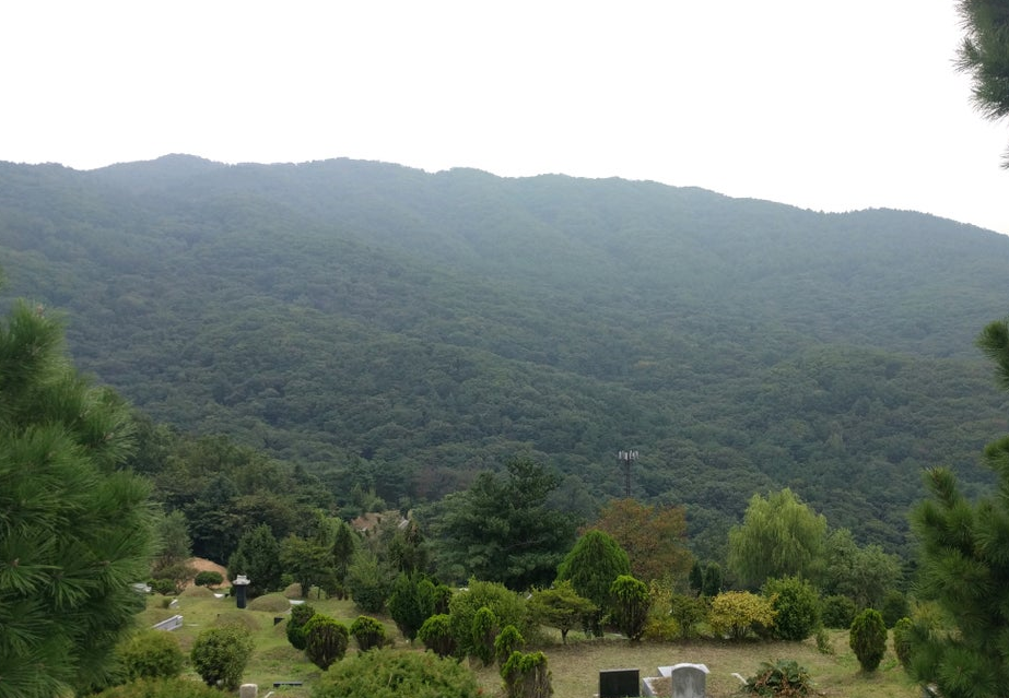 용산성당 청계묘원 전경
