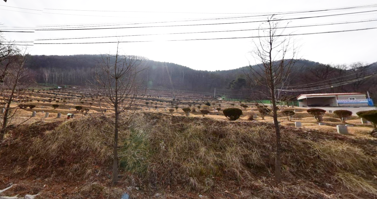 옥천군공설자연장지 전경