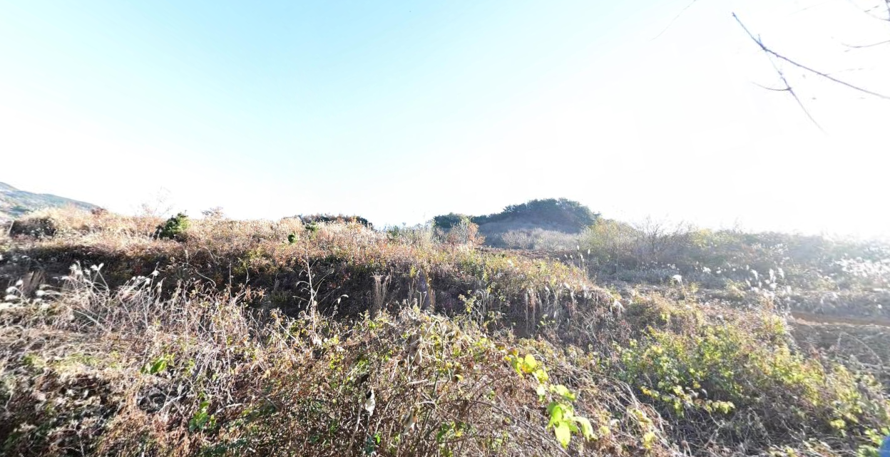 하늘동산 자연장지 전경