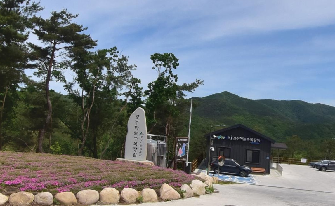 경주하늘수목장림 전경