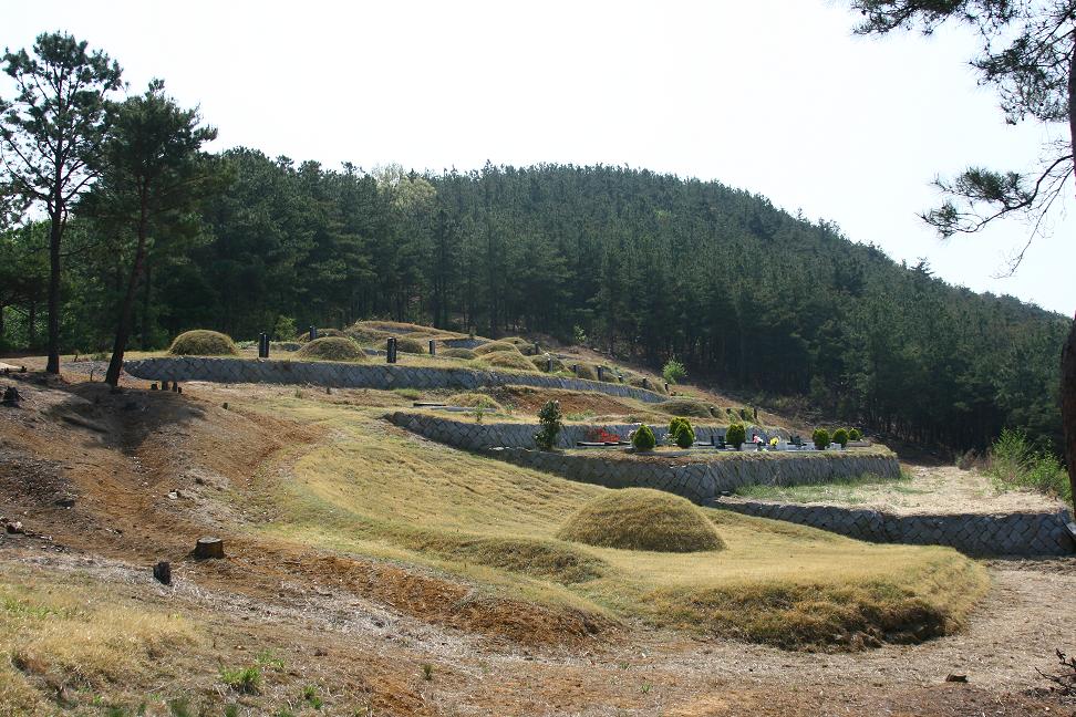 대구남덕교회부활동산 전경