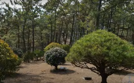 새소명교회동산 전경