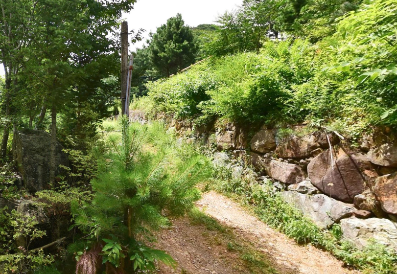 천불사 수목장 전경