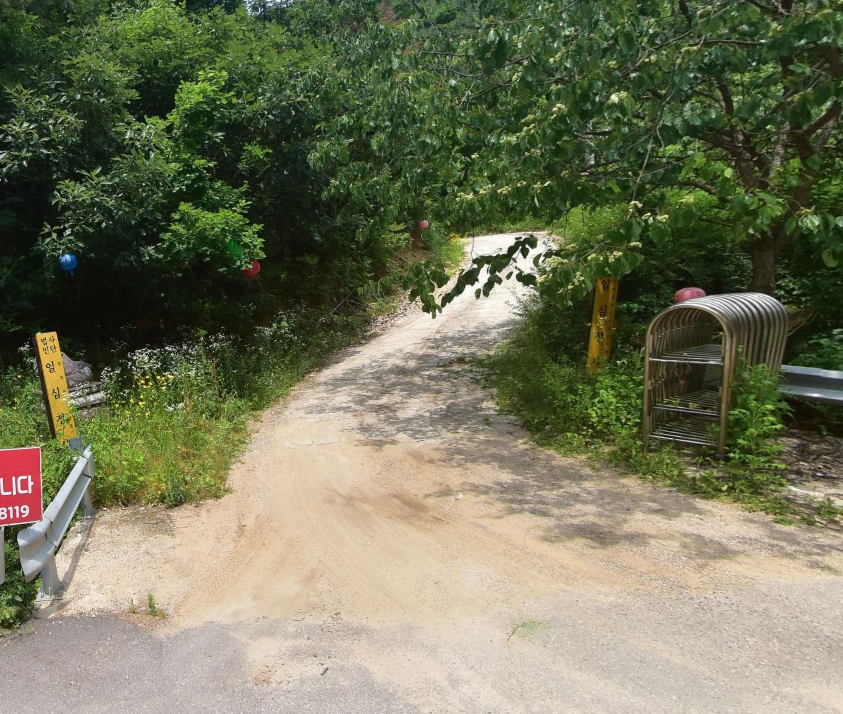 일심정사 수목장림 전경
